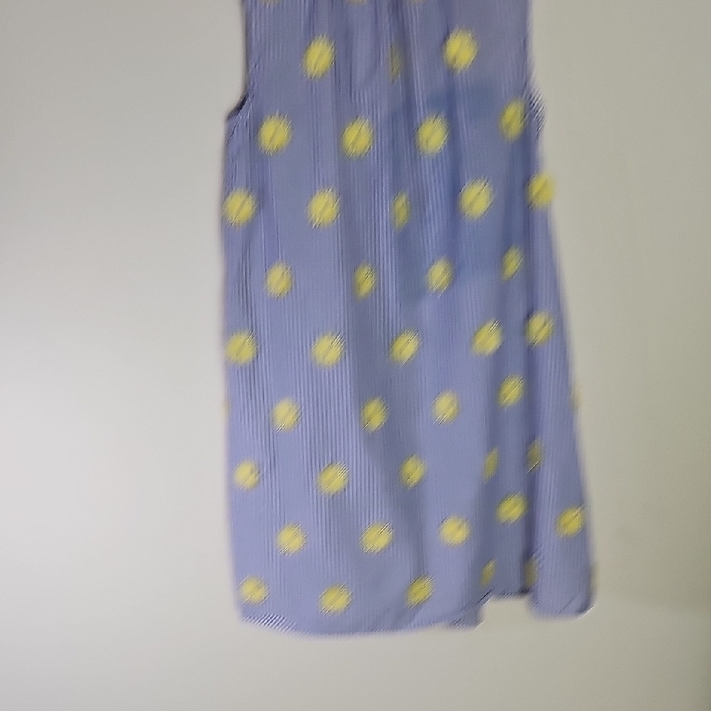 Lou & Grey Blue and White Striped Dress with Yellow Accents - Picture 8 of 8